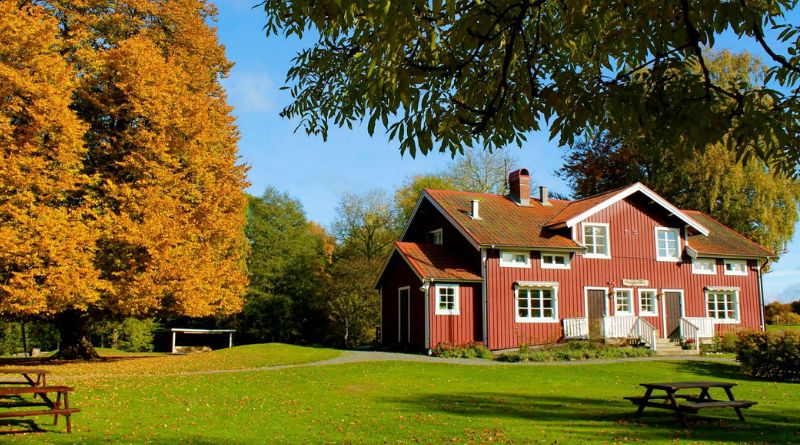 Upptäck Stättareds 4H-gård: En plats för alla