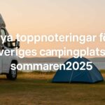 Nya toppnoteringar för Sveriges campingplatser sommaren 2025